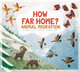 How Far Home?: Animal Migrations (Paperback)