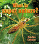 What Is Super Nature? (Paperback)