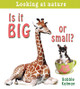 Is It Big or Small? (Paperback)