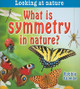 What Is Symmetry in Nature? (Paperback)