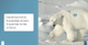 If I Were an Animal: If I Were A Polar Bear (Paperback)