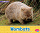 Wombats: A 4D Book (Hardcover)