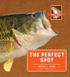 The Perfect Spot (Paperback)