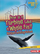 How Is a Turbine Like a Whale Fin?: Machines Imitating Nature (Paperback)