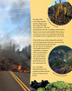 Volcano, Where Fire and Water Meet (Hardcover) Volcano, Where Fire and Water Meet (Hardcover)
