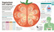 How Food Works: The Facts Visually Explained (Hardcover) How Food Works: The Facts Visually Explained (Hardcover)