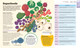 How Food Works: The Facts Visually Explained (Hardcover) How Food Works: The Facts Visually Explained (Hardcover)