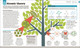 How Philosophy Works: The Concepts Visually Explained (Hardcover)