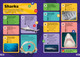 Kahoot! Quiz Time Animals: Test Yourself Challenge Your Friends (Paperback)