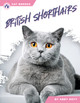 British Shorthairs (Paperback)