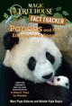 Pandas and Other Endangered Species: A Nonfiction Companion to Magic Tree House Merlin Mission #20: A Perfect Time for Pandas (Paperback)