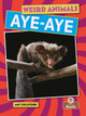 Aye-Aye (Paperback)