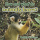 How and What Do Animals Learn? (Paperback)