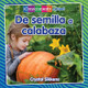 de Semilla a Calabaza (from Seed to Pumpkin) (Paperback)