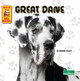 Great Dane (Hardcover)