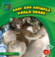 Koala Bears (Library Binding)