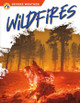 Severe Weather: Wildfires (Paperback)