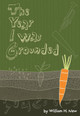 The Year I Was Grounded (Paperback)
