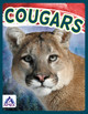 Wild Cats: Cougars (Paperback)