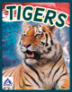 Wild Cats: Tigers (Paperback)