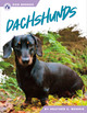Dog Breeds: Dachshunds (Hardcover)