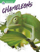 Reptiles: Chameleons (Hardcover)