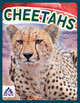 Wild Cats: Cheetahs (Hardcover)