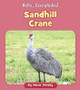 Sandhill Crane (Paperback)