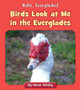 Birds Look at Me in the Everglades (Paperback)