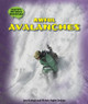 Awful Avalanches (Paperback)