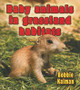 Baby Animals in Grassland Habitats (Paperback)