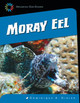 Moray Eel (Library Binding)