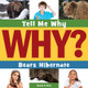 Bears Hibernate (Paperback)