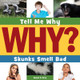 Skunks Smell Bad (Paperback)