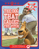 The Dog That Called the Pitch (Paperback)