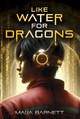 Like Water for Dragons (Library Binding)