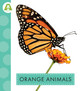 Spot Animal Colors: Orange Animals (Paperback)