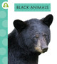 Spot Animal Colors: Black Animals (Hardcover)