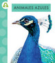 Los colores de los animales: Animales azules (Hardcover)