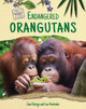 Endangered Orangutans (Library Binding)