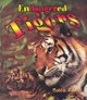 Endangered Tigers (Paperback)