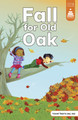 Fall for Old Oak (Paperback)