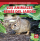 Los Animales Bebés del Jardín (Baby Backyard Animals) (Paperback)