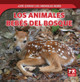 Los Animales Bebés del Bosque (Baby Forest Animals) (Paperback)
