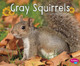 Gray Squirrels (Paperback)