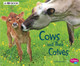 Cows and Their Calves: A 4D Book (Hardcover)