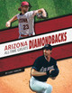 Arizona Diamondbacks All-Time Greats (Paperback)