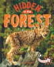 Animals Hidden in the Forest (Paperback)