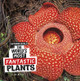 The World's Most Fantastic Plants (Paperback)