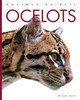 Amazing Animals: Ocelots (Hardcover)